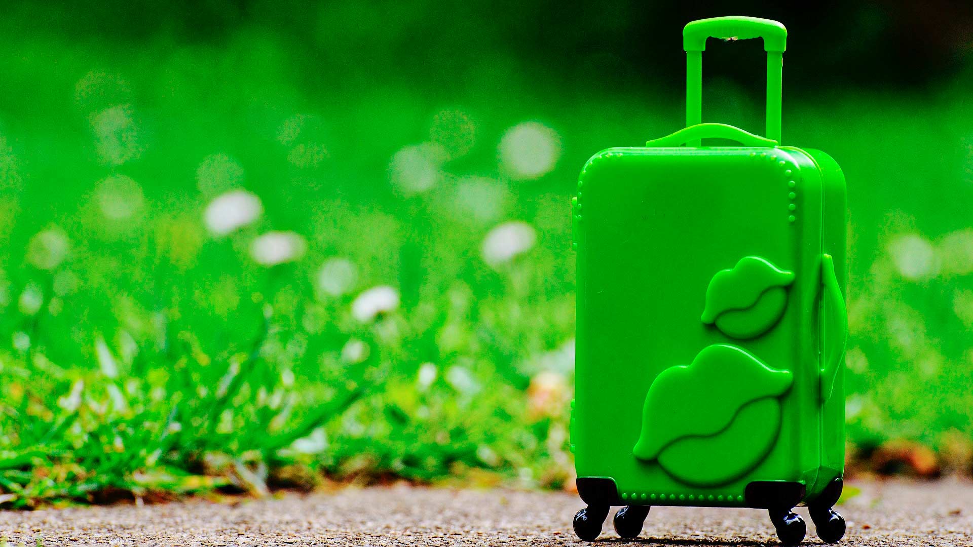 Las 10 mejores maletas de viaje de 2 ruedas para tu próximo viaje